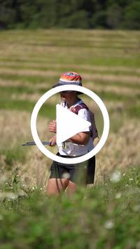 BIB:  <button type="button" onclick="openModal(26787438)" class="btn btn-primary btn-sm float-right" data-toggle="modal" data-target=".modal-high-quality">
                <i class="fa fa-download"></i> Download
                </button>